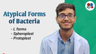 LForm Spheroplast Protoplast  Cell wall deficit forms of bacteria  Microbiology bangla lecture [upl. by Roberta]