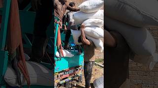 overload bitlabourdairyfarming feed cow viral ytshorts [upl. by Gyimah]