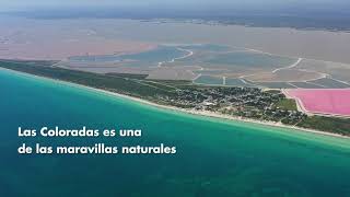 ¿Cómo llegar a Las Coloradas Yucatán [upl. by Kcerred]