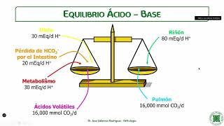 5 Cursillo Desequilibrio Ácido  Base [upl. by Mindi]
