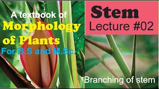 Stem Morphology Lecture 2 for BS Botany Zoology Chemistry [upl. by Halilad]