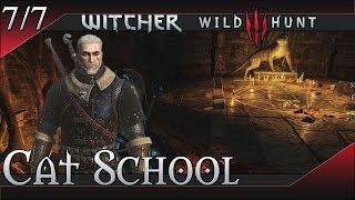 The Witcher 3 Wild Hunt Cat School Gear Set [upl. by Yragerg]