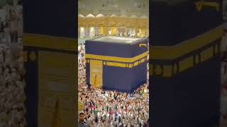 mokka modinarazan beautiful kabalive kaaba live shorts viralvideo shortvideo [upl. by Dorn]