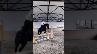 🖤 horse showjumping equestrian worldofshowjumping конныйспорт jumping equestrianshow [upl. by Elroy]