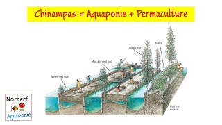 🐟🌿 Chinampas  Aquaponie  Permaculture [upl. by Eimaral]