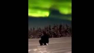 Alaska Northern Lights or Aurora Borealis Video from a customer taken on his winter vacation [upl. by Cassie]