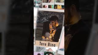 Kese Jiunga Kese Bata De Tere Bina Shorts Video New Whatsapp Status Video 2021 [upl. by Rivi734]