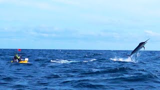 500Pound Marlin Tows Kayak Fisherman 15 Miles Out to Sea  Panama  Field Trips with Robert Field [upl. by Ennaitak]