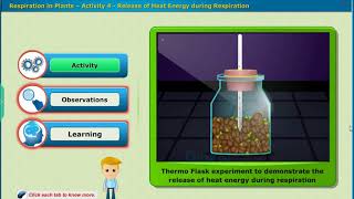 Release of Heat Energy During Respiration Class 10 Biology  SSC [upl. by Anaes]