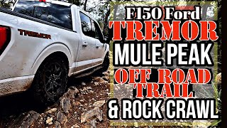 Aggressive Moderate Rated Trail Vs F150 Ford Tremor [upl. by Nrubyar816]