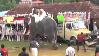 Killer elephant goes berserk trampling Indians at Kerala festival [upl. by Ssac]