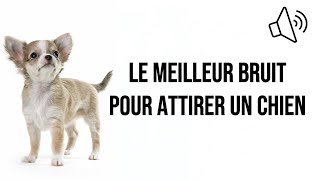 Le meilleur bruit pour attirer un chien [upl. by Jonis416]