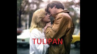 Tulipan  Serial 1986 odcinek 4 [upl. by Henderson]