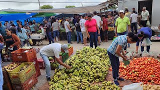 Veja Brasil a riqueza no Posto Alto da SerraPe 10324 a força do Agro no Nordeste agro frutas [upl. by Alburg]