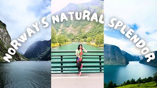 Norways Majestic Sognefjord  Cruise Adventure  Beautiful Waterfalls telugu [upl. by Natika]