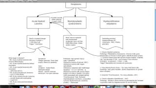 Myeloid and Lymphoid neoplasms web Computer [upl. by Van]