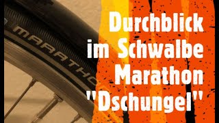 Schwalbe Marathon Reifen welches ist das beste Modell [upl. by Evita]