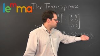 Linear Algebra 11w Introduction to the Transpose of a Matrix [upl. by Enyawud94]