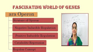 ara operonStructure of OperonNegative RegulationPositive Regulationcatabolite repressionRegulon [upl. by Hayouqes]