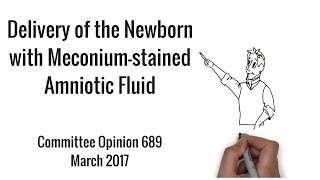 Intrapartum Management of Meconium Stained Fluid DE OBGYN Resident Lecture Series with James Manley [upl. by Aticnemrac]