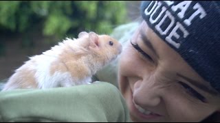 We Got A Hamster [upl. by Shreve]