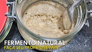 COMO FAZER FERMENTO NATURAL FAÇA SEU PRÓPRIO LEVAIN E USE EM RECEITAS DE PÃO CASEIRO horadogrude [upl. by Alwitt957]