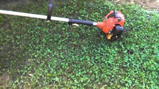 Echo GT 1100 grass trimmer [upl. by Ilarrold138]