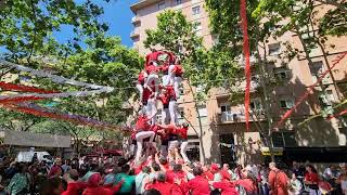 Castellers de Barcelona 4 de 8  Festa Major de Navas 2024 [upl. by Rossen]