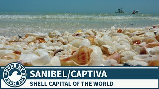 Sanibel Island and Captiva Island Florida  Things to Do and See When You Visit [upl. by Nastassia]