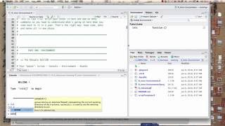 The R Environment [upl. by Manya]