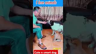 Smart dog [upl. by Lorie]