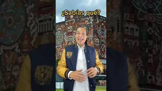 Sabías que en la UNAM… [upl. by Aiderfla]