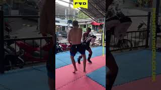 ️‍🔥 Haggerty rapid fire kicks preparing for Superlek Sept 6 ️‍🔥 muaythai thaiboxing combatsport [upl. by Fruma]