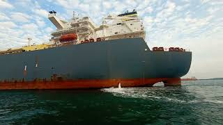 SHIP IN PORT SINGAPORE PSA 2024 quotYARI LNGquot [upl. by Diskson]