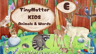 Kids Alphabet Animals Words And Pronunciation A  Z  Alpha E [upl. by Jill]