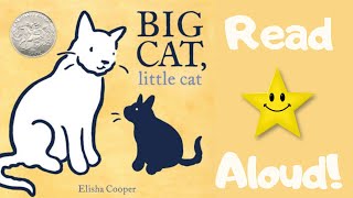 STORYTIME BIG CAT little cat  READ ALOUD Stories For Children [upl. by Deste]