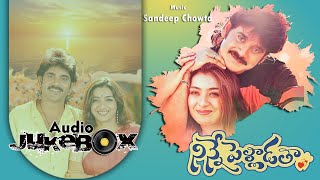 Ninne Pelladatha Telugu Songs Jukebox  Nagarjuna Tabu  Sandeep Chowta  ilovesongs90s [upl. by Kernan]