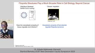 Towards Mechanoimmunology for Precision ImmunoOncology [upl. by Taffy]