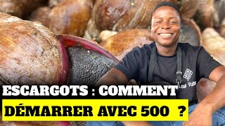 Escargots  comment démarrer avec 500 [upl. by Einahets]