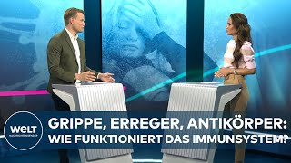 GRIPPE ERREGER ANTIKÖRPER  Wie funktioniert das Immunsystem  WELT GESUNDHEIT [upl. by Irrol]