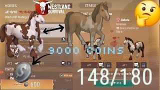 Spend more than 9000 coins on a horse Westland Survival [upl. by Aiuqat56]