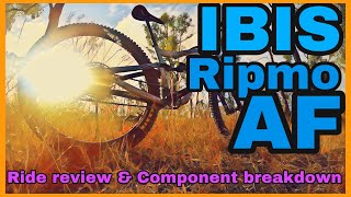 IBIS RIPMO AF review  my thoughts after two months [upl. by Nyvar]