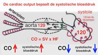 Bloeddruk [upl. by Nothsa]
