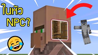 Minecraft  อะไรอยู่ข้างในหัว NPC 🤔 [upl. by Gessner]