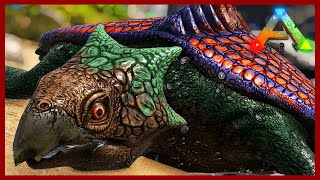 This Giant Sea Turtle is Amazing  Archelon Taming  The Island Map  Ark Survival Evolved Ep 19 [upl. by Notreb]