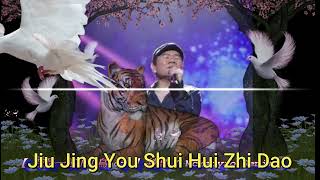 WO SHI YI ZHI XIAO XIAO NIAO REMIX NEW2 KARAOKE [upl. by Gunnar]