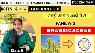 Brassicaceae Family 🏵️  Floral diagram and formulas  Taxonomy  Economic importance [upl. by Vevine]