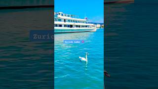 Zurich Lake Switzerland 🇨🇭Beautiful shortsfeed travel zürichsee explorezurich [upl. by Shaylyn]