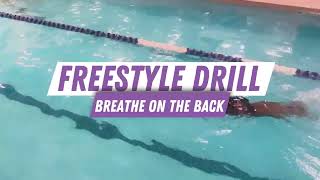 Freestyle Drill Rotary Breathing on Your Back  WeAquatics [upl. by Darce672]