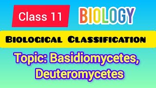 Class 11  Biology Biological Classification Topic Basidiomycetes Deuteromycetes ncert [upl. by Kcirdlek835]